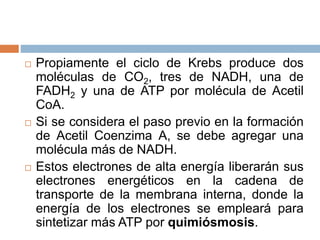  Propiamente el ciclo de Krebs produce dos
moléculas de CO2, tres de NADH, una de
FADH2 y una de ATP por molécula de Acetil
CoA.
 Si se considera el paso previo en la formación
de Acetil Coenzima A, se debe agregar una
molécula más de NADH.
 Estos electrones de alta energía liberarán sus
electrones energéticos en la cadena de
transporte de la membrana interna, donde la
energía de los electrones se empleará para
sintetizar más ATP por quimiósmosis.
 