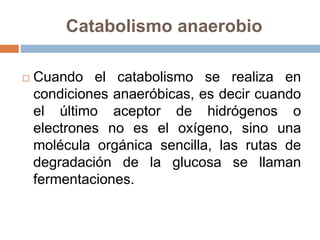 Catabolismo anaerobio
 Cuando el catabolismo se realiza en
condiciones anaeróbicas, es decir cuando
el último aceptor de hidrógenos o
electrones no es el oxígeno, sino una
molécula orgánica sencilla, las rutas de
degradación de la glucosa se llaman
fermentaciones.
 