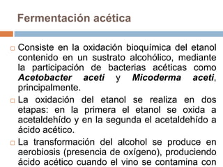 Fermentación acética
 Consiste en la oxidación bioquímica del etanol
contenido en un sustrato alcohólico, mediante
la participación de bacterias acéticas como
Acetobacter aceti y Micoderma aceti,
principalmente.
 La oxidación del etanol se realiza en dos
etapas: en la primera el etanol se oxida a
acetaldehído y en la segunda el acetaldehído a
ácido acético.
 La transformación del alcohol se produce en
aerobiosis (presencia de oxígeno), produciendo
ácido acético cuando el vino se contamina con
 