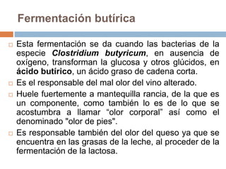 Fermentación butírica
 Esta fermentación se da cuando las bacterias de la
especie Clostridium butyricum, en ausencia de
oxígeno, transforman la glucosa y otros glúcidos, en
ácido butírico, un ácido graso de cadena corta.
 Es el responsable del mal olor del vino alterado.
 Huele fuertemente a mantequilla rancia, de la que es
un componente, como también lo es de lo que se
acostumbra a llamar “olor corporal” así como el
denominado "olor de pies".
 Es responsable también del olor del queso ya que se
encuentra en las grasas de la leche, al proceder de la
fermentación de la lactosa.
 