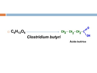  C6H12O6
Clostridium butyricum
Ácido butírico
 