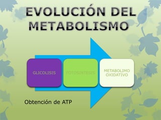 GLICOLISIS FOTOSINTESIS
METABOLIMO
OXIDATIVO
Obtención de ATP
 