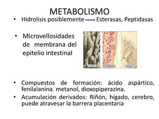 METABOLISMO
• Hidrolisis posiblemente Esterasas, Peptidasas
• Compuestos de formación: ácido aspártico,
fenilalanina, metanol, dioxopiperazina.
• Acumulación derivados: Riñón, hígado, cerebro,
puede atravesar la barrera placentaria
• Microvellosidades
de membrana del
epitelio intestinal
 