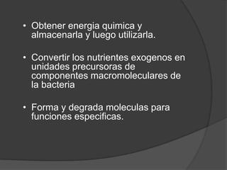 Obtenerenergiaquimica y almacenarla y luego utilizarla.