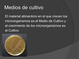 Se distinguen por su especificidad de sustratos, que es la habilidad para discriminar entre moléculas muy similares.