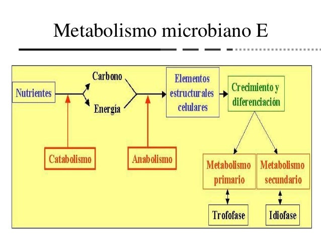 Metabolismo Calcio Fosforo