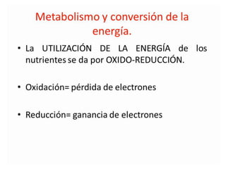 Metabolismo bacteriano.
