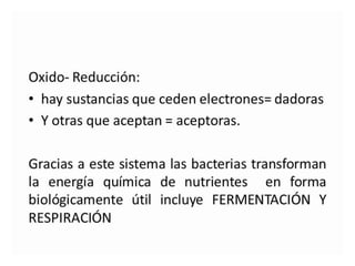 Metabolismo bacteriano.