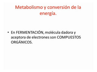 Metabolismo bacteriano.