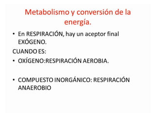 Metabolismo bacteriano.