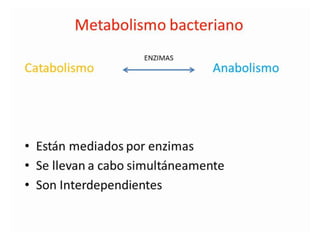 Metabolismo bacteriano.