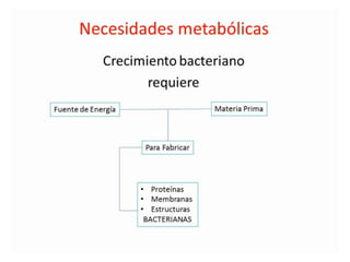 Metabolismo bacteriano.