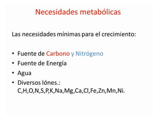 Metabolismo bacteriano.