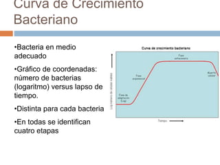 Metabolismo_Bacteriano.ppt