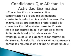 1.Concentración de la enzima. Si la 
concentración de la enzima se mantiene 
constante, la velocidad inicial de Lina reacción 
enzimática es directamente proporcional a la 
concentración del sustrato presente, En este 
caso la concentración del sustrato es el factor 
limitante de la velocidad de reacción. Sin 
embargo, aunque se aumente la concentración 
del sustrato la velocidad de reacción no aumentará 
porque las moléculas de enzima se saturarán de él. 
 