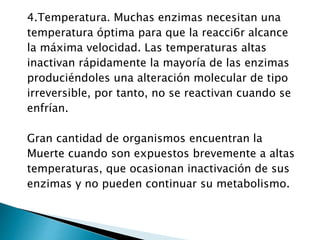 4.Temperatura. Muchas enzimas necesitan una 
temperatura óptima para que la reacci6r alcance 
la máxima velocidad. Las temperaturas altas 
inactivan rápidamente la mayoría de las enzimas 
produciéndoles una alteración molecular de tipo 
irreversible, por tanto, no se reactivan cuando se 
enfrían. 
Gran cantidad de organismos encuentran la 
Muerte cuando son expuestos brevemente a altas 
temperaturas, que ocasionan inactivación de sus 
enzimas y no pueden continuar su metabolismo. 
 