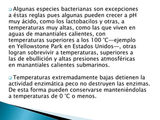  Algunas especies bacterianas son excepciones 
a éstas reglas pues algunas pueden crecer a pH 
muy ácido, como los lactobacilos y otras, a 
temperaturas muy altas, como las que viven en 
aguas de manantiales calientes, con 
temperaturas superiores a los 100 °C—ejemplo 
en Yellowstone Park en Estados Unidos—, otras 
logran sobrevivir a temperaturas, superiores a 
las de ebullición y altas presiones atmosféricas 
en manantiales calientes submarinos. 
 Temperaturas extremadamente bajas detienen la 
actividad enzimática peco no destruyen las enzimas. 
De esta forma pueden conservarse manteniéndolas 
a temperaturas de 0 °C o menos. 
 