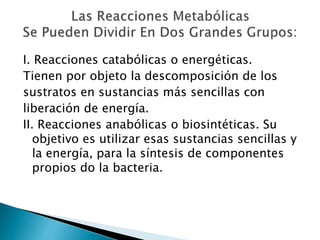 I. Reacciones catabólicas o energéticas. 
Tienen por objeto la descomposición de los 
sustratos en sustancias más sencillas con 
liberación de energía. 
II. Reacciones anabólicas o biosintéticas. Su 
objetivo es utilizar esas sustancias sencillas y 
la energía, para la síntesis de componentes 
propios do la bacteria. 
 