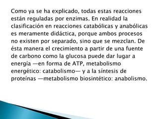 Como ya se ha explicado, todas estas reacciones 
están reguladas por enzimas. En realidad la 
clasificación en reacciones catabólicas y anabólicas 
es meramente didáctica, porque ambos procesos 
no existen por separado, sino que se mezclan. De 
ésta manera el crecimiento a partir de una fuente 
de carbono como la glucosa puede dar lugar a 
energía —en forma de ATP, metabolismo 
energético: catabolismo— y a la síntesis de 
proteínas —metabolismo biosintético: anabolismo. 
 