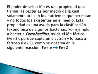 El poder de selección es una propiedad que 
tienen las bacterias por medio de la cual 
solamente utilizan los nutrientes que necesitan 
y no todos los existentes en el medio. Esta 
propiedad es una ayuda para la clasificación 
taxonómica de algunos bacterias. Por ejemplo: 
a bacteria Ferrobacillus, oxida el ión férrico 
(Fe+3), porque capta un electrón y lo pasa a 
ferroso (Fe+2), como se observa en la 
siguiente reacción: Fe+ e Fe+2 
 
