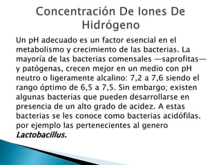 Un pH adecuado es un factor esencial en el 
metabolismo y crecimiento de las bacterias. La 
mayoría de las bacterias comensales —saprofitas— 
y patógenas, crecen mejor en un medio con pH 
neutro o ligeramente alcalino: 7,2 a 7,6 siendo el 
rango óptimo de 6,5 a 7,5. Sin embargo; existen 
algunas bacterias que pueden desarrollarse en 
presencia de un alto grado de acidez. A estas 
bacterias se les conoce como bacterias acidófilas. 
por ejemplo las pertenecientes al genero 
Lactobacillus. 
 