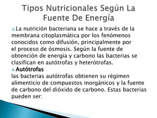  La nutrición bacteriana se hace a través de la 
membrana citoplasmática por los fenómenos 
conocidos como difusión, principalmente por 
el proceso de ósmosis. Según la fuente de 
obtención de energía y carbono las bacterias se 
clasifican en autótrofas y heterótrofas. 
 Autótrofas 
las bacterias autótrofas obtienen su régimen 
alimenticio de compuestos inorgánicos y la fuente 
de carbono del dióxido de carbono. Estas bacterias 
pueden ser: 
 