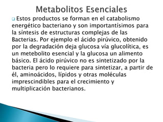  Estos productos se forman en el catabolismo 
energético bacteriano y son importantísimos para 
la síntesis de estructuras complejas de las 
Bacterias. Por ejemplo el ácido pirúvico, obtenido 
por la degradación deja glucosa vía glucolítica, es 
un metebolito esencial y la glucosa un alimento 
básico. El ácido pirúvico no es sintetizado por la 
bacteria pero lo requiere para sintetizar, a partir de 
él, aminoácidos, lípidos y otras moléculas 
imprescindibles para el crecimiento y 
multiplicación bacterianos. 
 