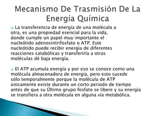  La transferencia de energía de una molécula a 
otra, es una propiedad esencial para la vida, 
donde cumple un papel muy importante el 
nucleótido adenosintrifosfato o ATP. Este 
nucleótido puede recibir energía de diferentes 
reacciones catabólicas y transferirla a otras 
moléculas dé baja energía. 
 El ATP acumula energía y por eso se conoce como una 
molécula almacenadora de energía, pero esto sucede 
sólo temporalmente porque la molécula de ATP 
únicamente existe durante un corto periodo de tiempo 
antes de que su Último grupo fosfato se libere y su energía 
se transfiera a otra molécula en alguna vía metabólica. 
