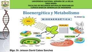 Blgo. Dr. Jeisson David Cabos Sanchez
UNIVERSIDAD NACIONAL AGRARIA DE LA SELVA
TINGO MARÍA
FACULTAD DE RECURSOS NATURALES RENOVABLES
CURSOS BASICOS GENERALES DE INGENIERIA
Bioenergética y Metabolismo
 