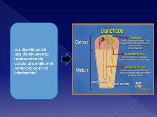 Los diuréticos de
asa disminuyen la
reabsorción de
calcio al disminuir el
potencial positivo
intraluminal

 