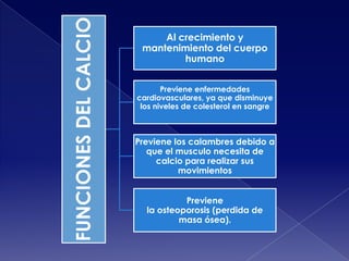FUNCIONES DEL CALCIO

Al crecimiento y
mantenimiento del cuerpo
humano
Previene enfermedades
cardiovasculares, ya que disminuye
los niveles de colesterol en sangre

Previene los calambres debido a
que el musculo necesita de
calcio para realizar sus
movimientos
Previene
la osteoporosis (perdida de
masa ósea).

 