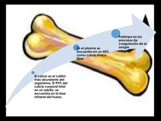 En el plasma se
encuentra en un 50%
como calcio iónico
libre

El calcio es el catión
más abundante del
organismo. El 99% del
calcio corporal total
en un adulto, se
encuentra en la fase
mineral del hueso.

Participa en los
procesos de
coagulación de la
sangre.

 