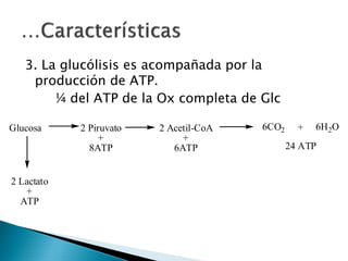 Metabolismo de Carbohidratos