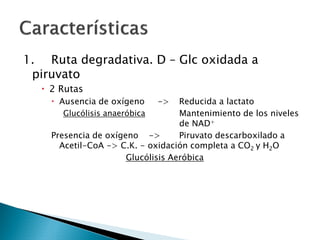 Metabolismo de Carbohidratos