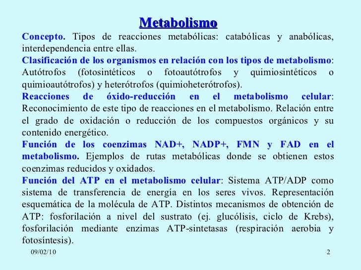 Niños y como acelerar el metabolismo para adelgazar