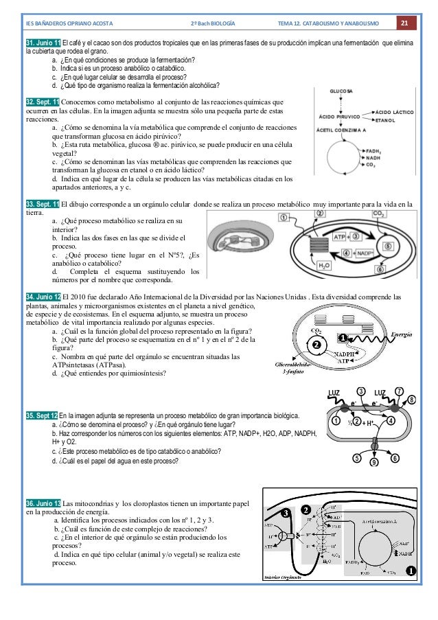 Fascinantes dietoterapia nutrición clínica y metabolismo tácticas