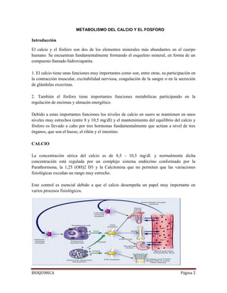 Obligatorio Que Electrolito Regula La Liberación De Parathormona Serica Nuevo