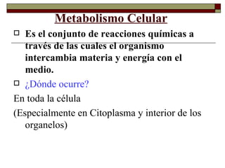 Metabolismo Celular   ,[object Object],[object Object],[object Object],[object Object]