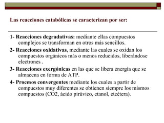 Las reacciones catabólicas se caracterizan por ser: 1- Reacciones degradativas:  mediante ellas compuestos complejos se transforman en otros más sencillos. 2- Reacciones oxidativas , mediante las cuales se oxidan los compuestos orgánicos más o menos reducidos, liberándose electrones . 3- Reacciones exergónicas  en las que se libera energía que se almacena en forma de ATP. 4- Procesos convergentes  mediante los cuales a partir de compuestos muy diferentes se obtienen siempre los mismos compuestos (CO2, ácido pirúvico, etanol, etcétera). 