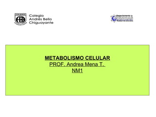 METABOLISMO CELULAR
 PROF. Andrea Mena T.
         NM1
 