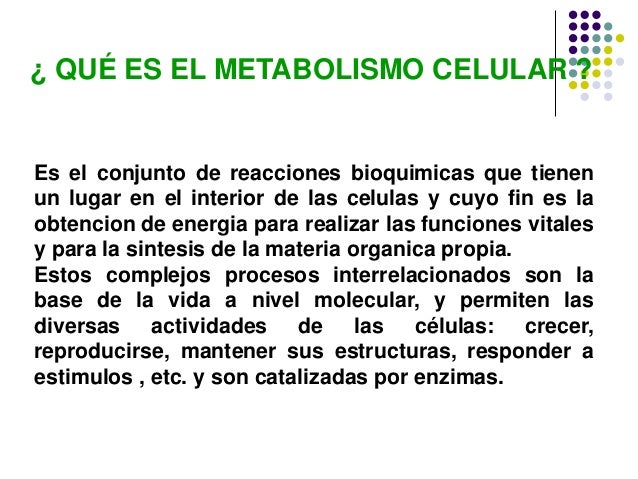 Metabolismo celular