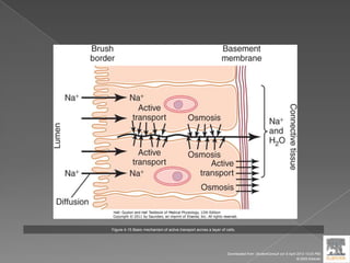 Figure 4-15 Basic mechanism of active transport across a layer of cells.
Downloaded from: StudentConsult (on 9 April 2012 10:25 PM)
© 2005 Elsevier
 