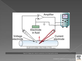 Figure 5-8 "Voltage clamp" method for studying flow of ions through specific channels.
Downloaded from: StudentConsult (on 9 April 2012 10:25 PM)
© 2005 Elsevier
 