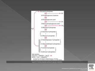 Figure 67-8 Pentose phosphate pathway for glucose metabolism.
Downloaded from: StudentConsult (on 9 April 2012 10:25 PM)
© 2005 Elsevier
 