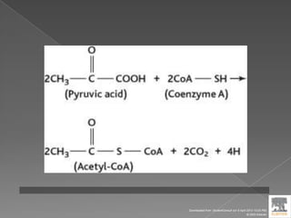 Downloaded from: StudentConsult (on 9 April 2012 10:25 PM)
© 2005 Elsevier
 