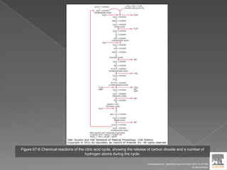 Figure 67-6 Chemical reactions of the citric acid cycle, showing the release of carbon dioxide and a number of
hydrogen atoms during the cycle.
Downloaded from: StudentConsult (on 9 April 2012 10:25 PM)
© 2005 Elsevier
 