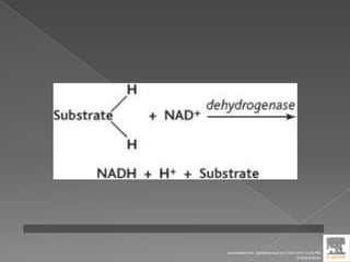 Downloaded from: StudentConsult (on 9 April 2012 10:25 PM)
© 2005 Elsevier
 