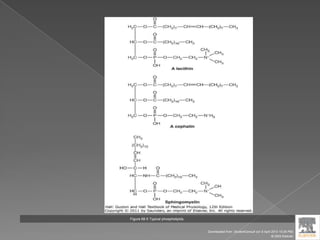 Figure 68-5 Typical phospholipids.
Downloaded from: StudentConsult (on 9 April 2012 10:26 PM)
© 2005 Elsevier
 