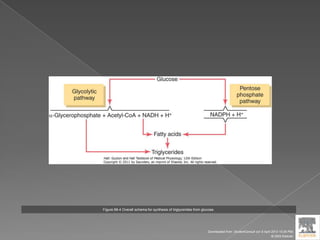 Figure 68-4 Overall schema for synthesis of triglycerides from glucose.
Downloaded from: StudentConsult (on 9 April 2012 10:26 PM)
© 2005 Elsevier
 