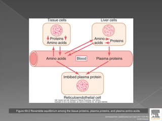 Figure 69-2 Reversible equilibrium among the tissue proteins, plasma proteins, and plasma amino acids.
Downloaded from: StudentConsult (on 9 April 2012 10:26 PM)
© 2005 Elsevier
 